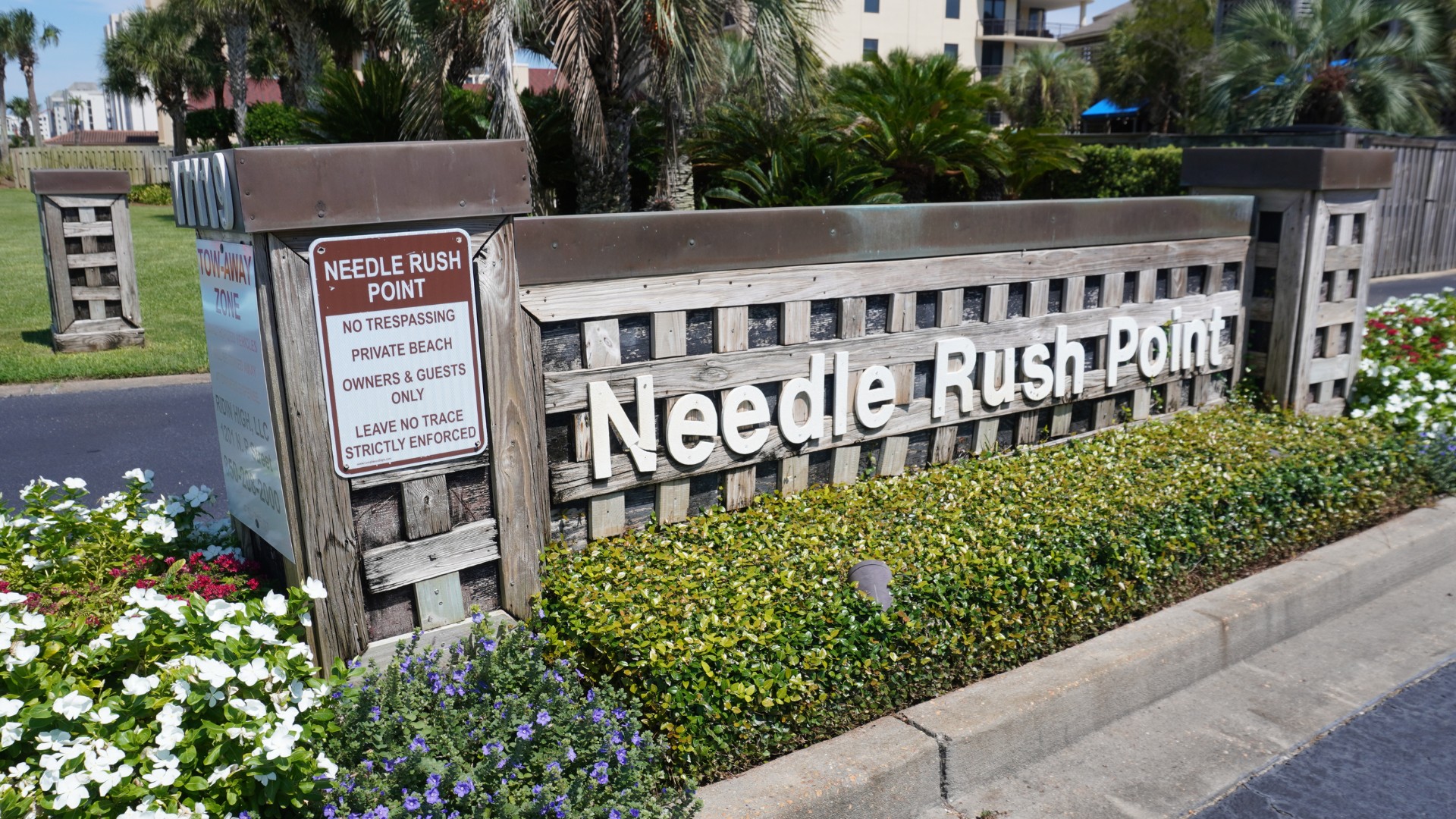 Needle Rush Point 3