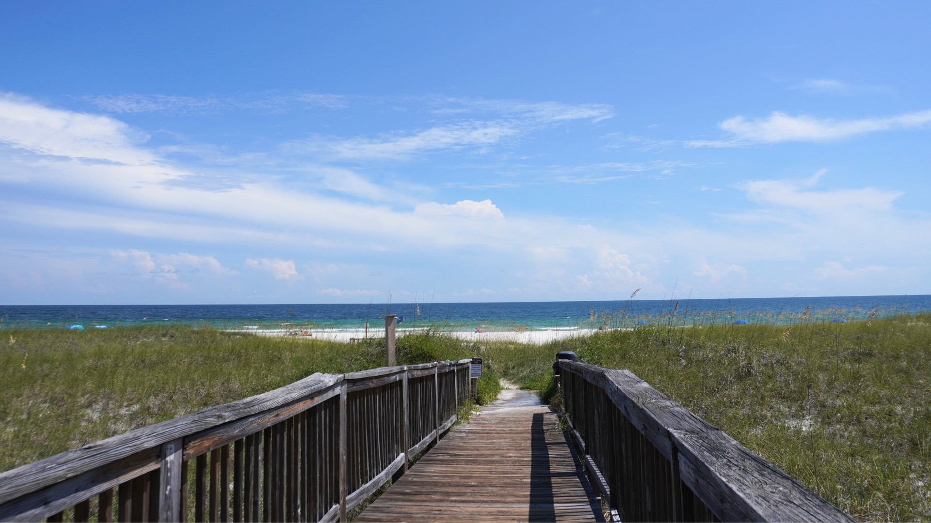 Needle Rush Point Beach Access