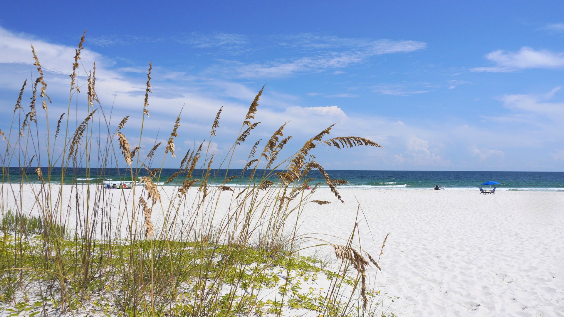Needle Rush Point Bech