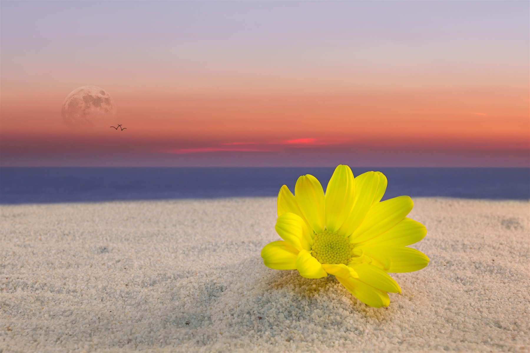 Thing To Do Spring Events