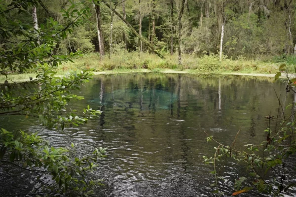 Things To Do Hugh S. Branyon Backcountry Trail