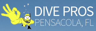 Things To Do DIVE PROS