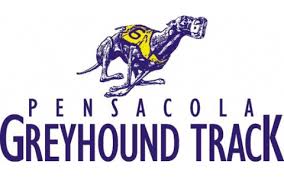 Things To Do Pensacola Greyhound Track