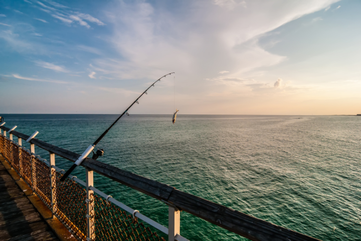 Gulf Shores Beach