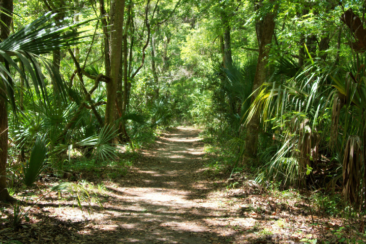 Florida Coastal Walking Trail